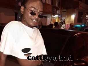Cattleya_bad