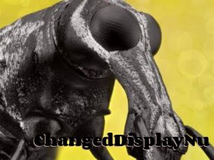 ChangedDisplayNu