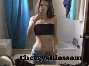 CherrysBlossom
