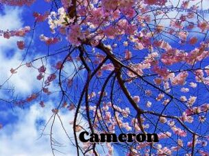 Cameron