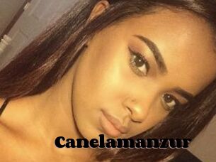 Canelamanzur