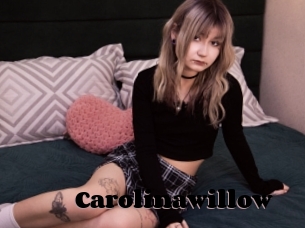 Carolinawillow