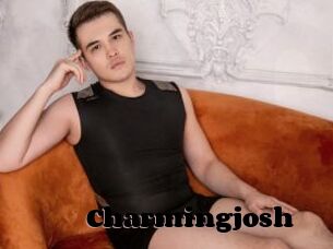 Charmingjosh