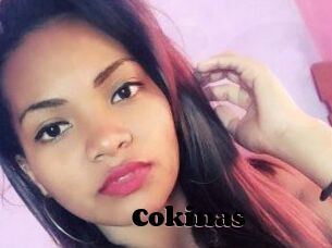 Cokinas