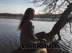 Cookie_anjax
