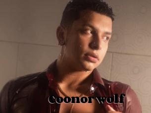 Coonor_wolf
