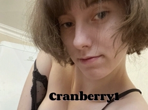Cranberry1