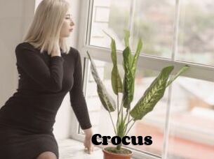 Crocus
