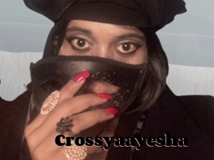Crossyaayesha