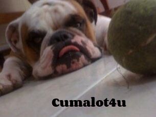 Cumalot4u