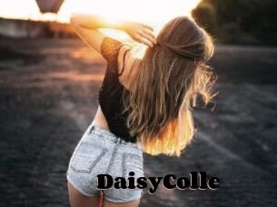DaisyColle