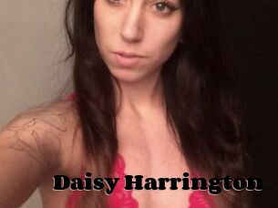 Daisy_Harrington