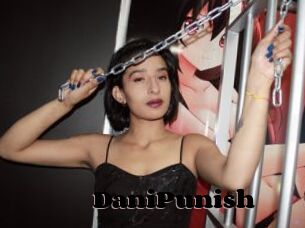 DaniPunish