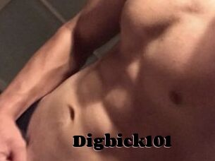 Digbick101