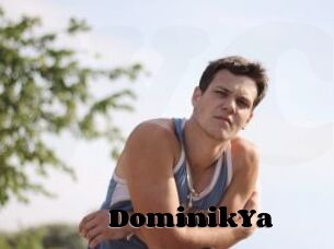 DominikYa