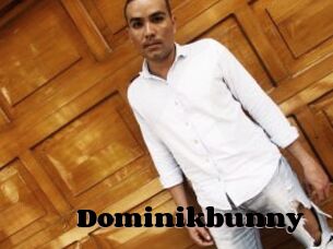 Dominikbunny