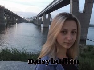 Daisybufkin