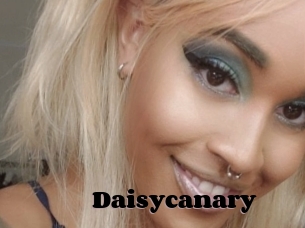 Daisycanary