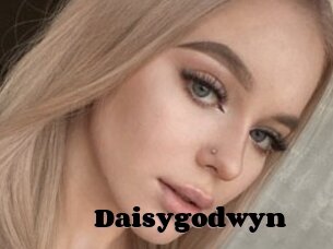 Daisygodwyn
