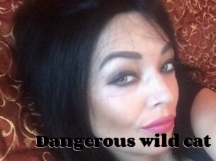 Dangerous_wild_cat