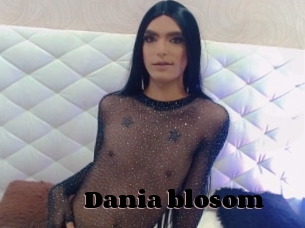 Dania_blosom