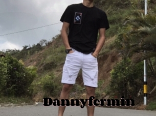 Dannyfermin