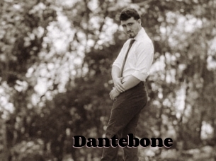 dantebone Webcam Chatcams