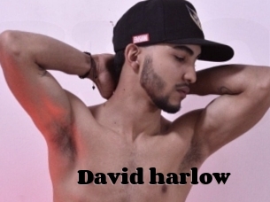 David_harlow