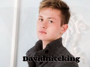 Davidniceking