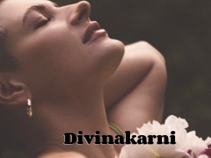 Divinakarni