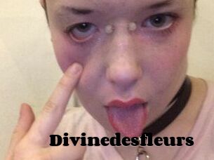 Divinedesfleurs