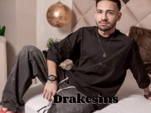 Drakesins