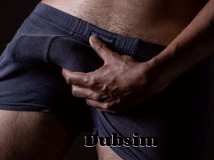 Dubsim