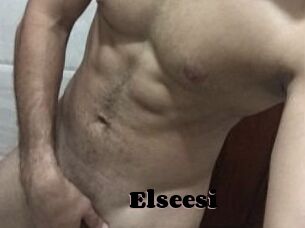 Elseesi