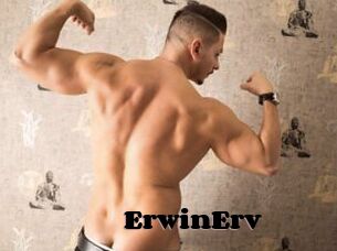 ErwinErv