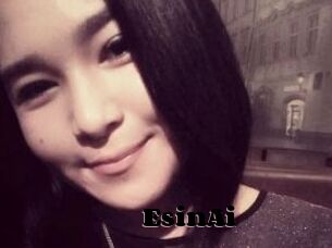 EsinAi