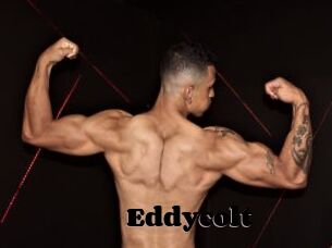 Eddycolt
