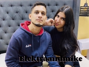 Elektraandmike