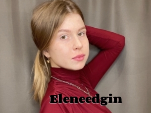 Eleneedgin