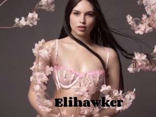 Elihawker