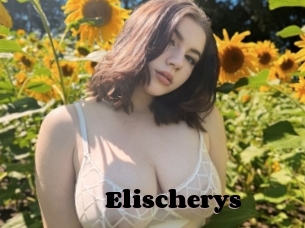 Elischerys