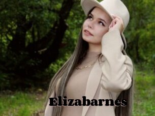 Elizabarnes