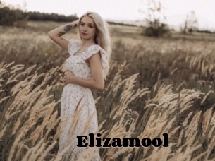 Elizamool