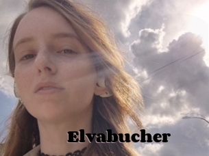 Elvabucher