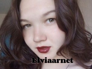 Elviaarnet