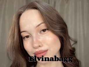 Elvinabagg