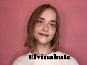 Elvinabute