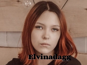 Elvinadagg