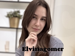 Elvinagomer