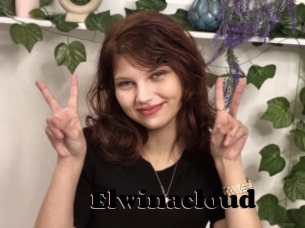 Elwinacloud